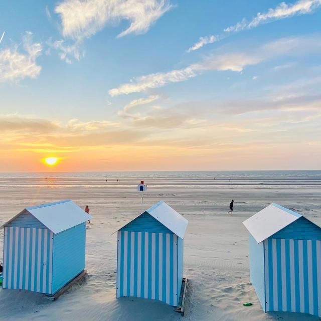 51094aee-823b-4225-94b2-33df6b9c088c (1)