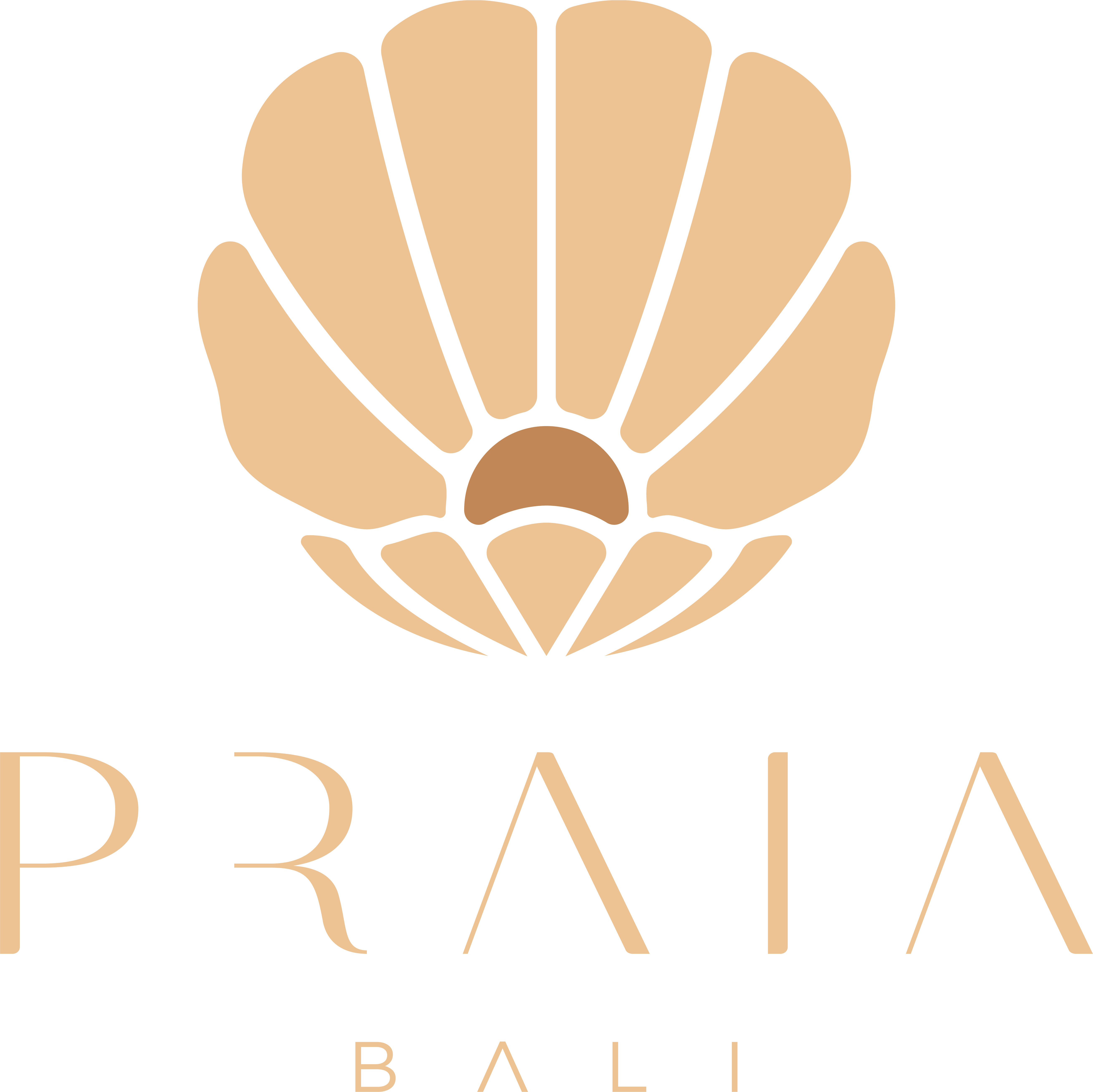 643bade11f545e82fbba33ab_PRAIA full colored