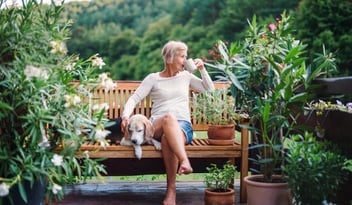 Pet at Airbnb vacation rental