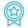 noun-award-558708-12B0FB