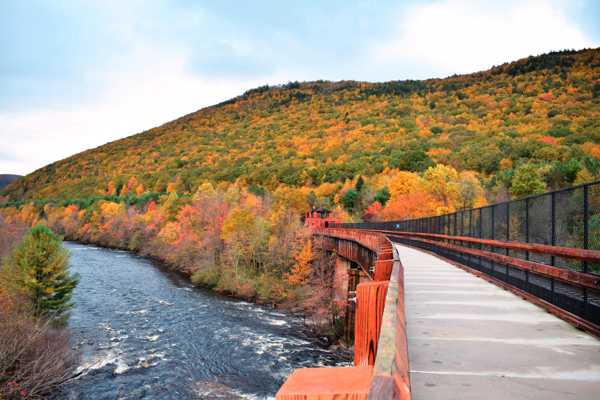 Scenic_Fall_DL_Trail_Lehigh_Gorge_State_Park_Jim_Thorpe_3_PoconoMtns_edit_34ceecb9-6e7d-4061-8235-5d04d84dd0b5