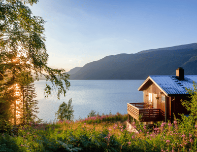 The Ultimate Guide to Vacation Rental Operations