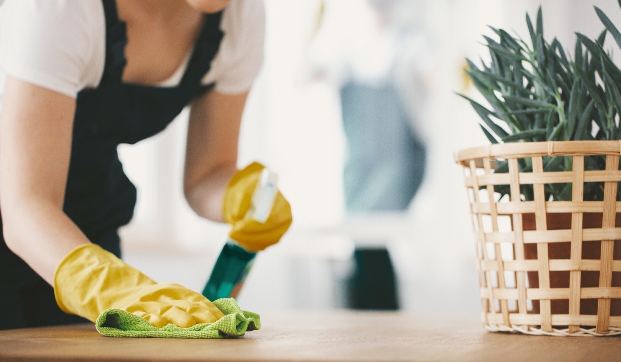 the-ultimate-vacation-rental-cleaning-checklist-to-help-you-exceed-guest-expectations-[+-free-template]