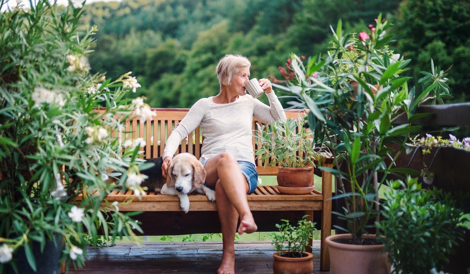 should-you-allow-pets-at-your-short-term-rental?-pros-and-cons