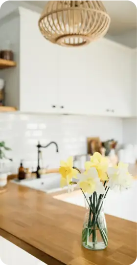 AdobeStock_431960609 1 (1)