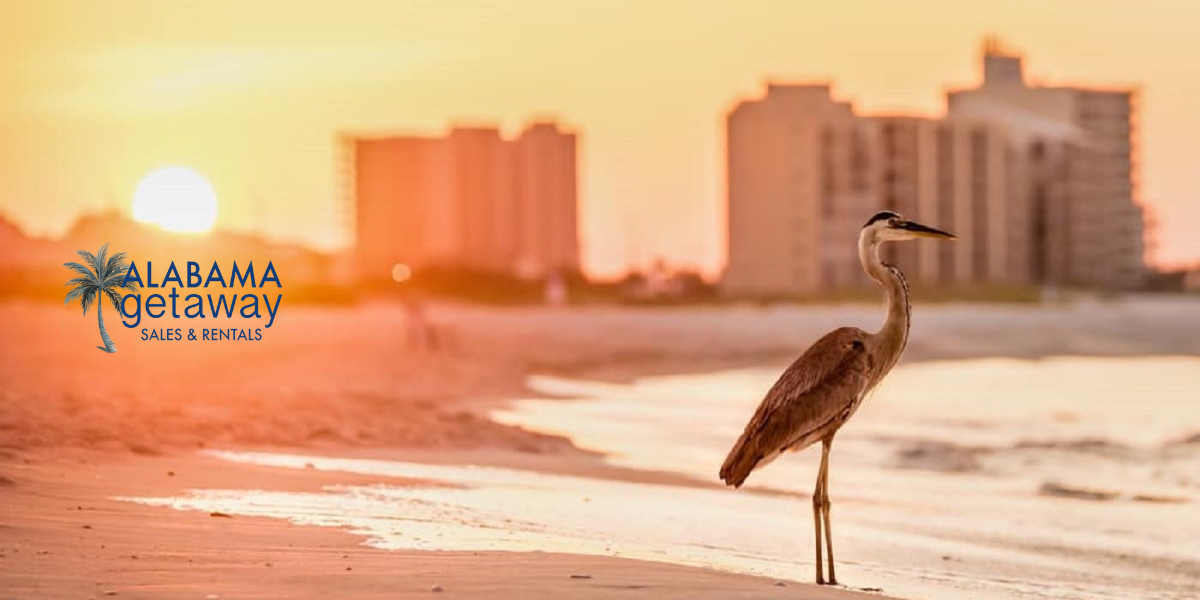 alabama getaways case study